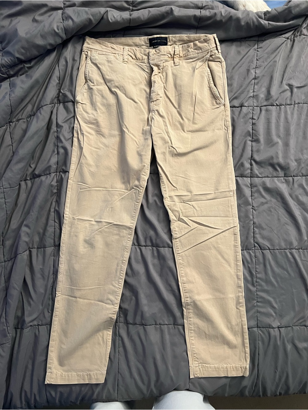 Men's American Eagle Slim Chino Pants in Beige